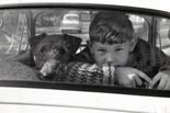 Svratka 1968